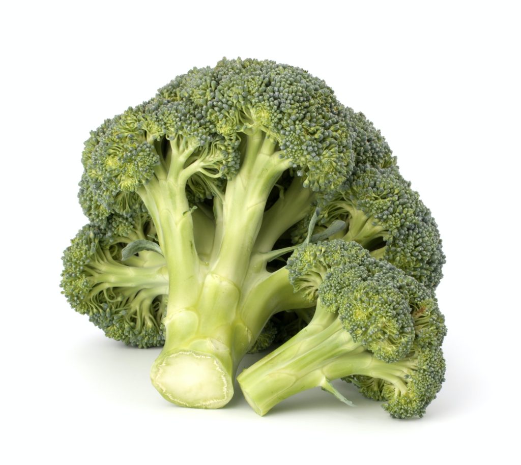 Broccoli vegetable